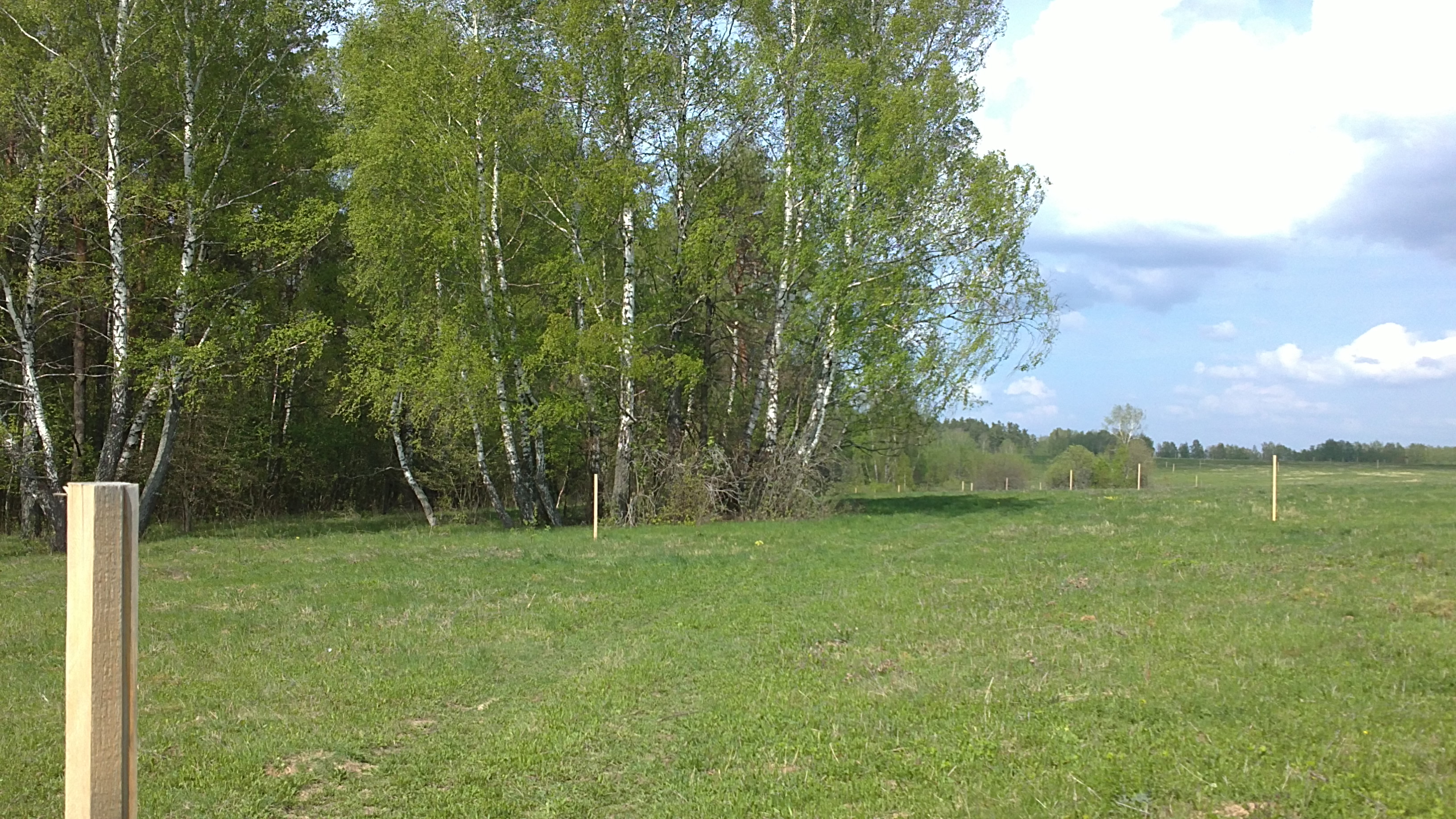 заповедные поляны